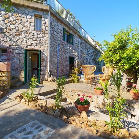 Casa William - Villa E 2 Dependance Porto Azzurro Kültér fotó